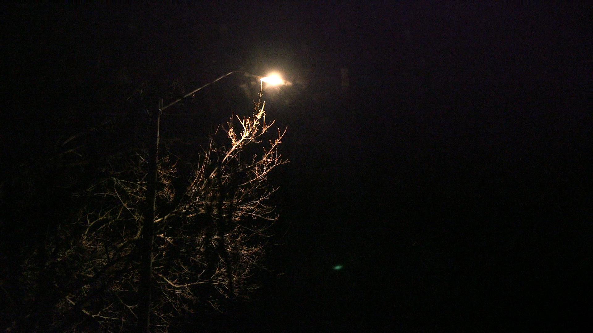 Every screw into every lamppost