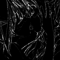 Erotica ULTRA DEMO Cover